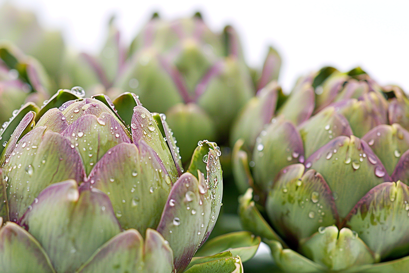 Image gratuite Artichauts avec gouttelettes d&rsquo;eau 3