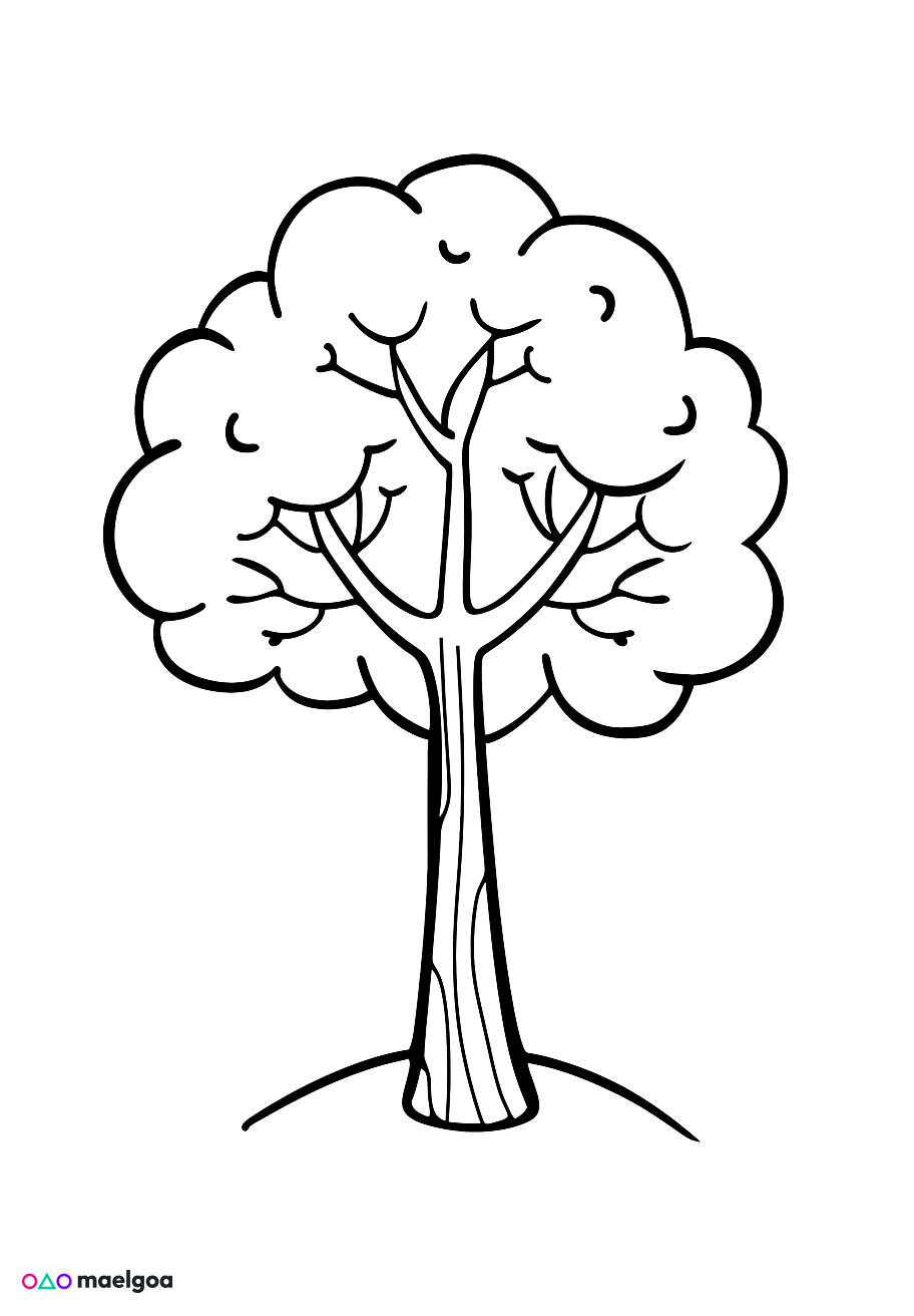 Image gratuite Coloriage arbre 1