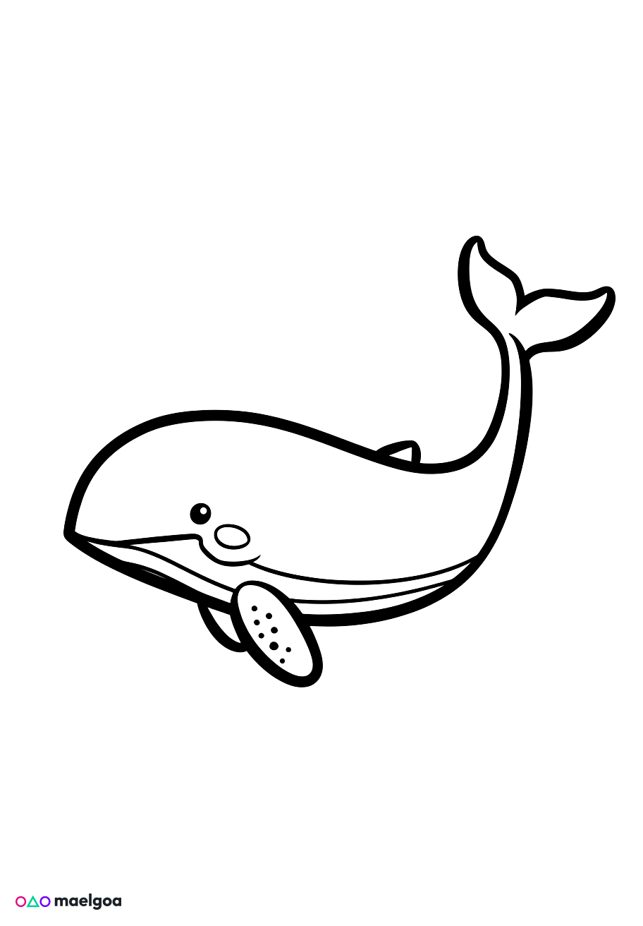 Image gratuite Coloriage baleine 1