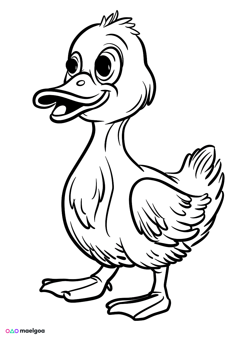 Image gratuite Coloriage canard 1