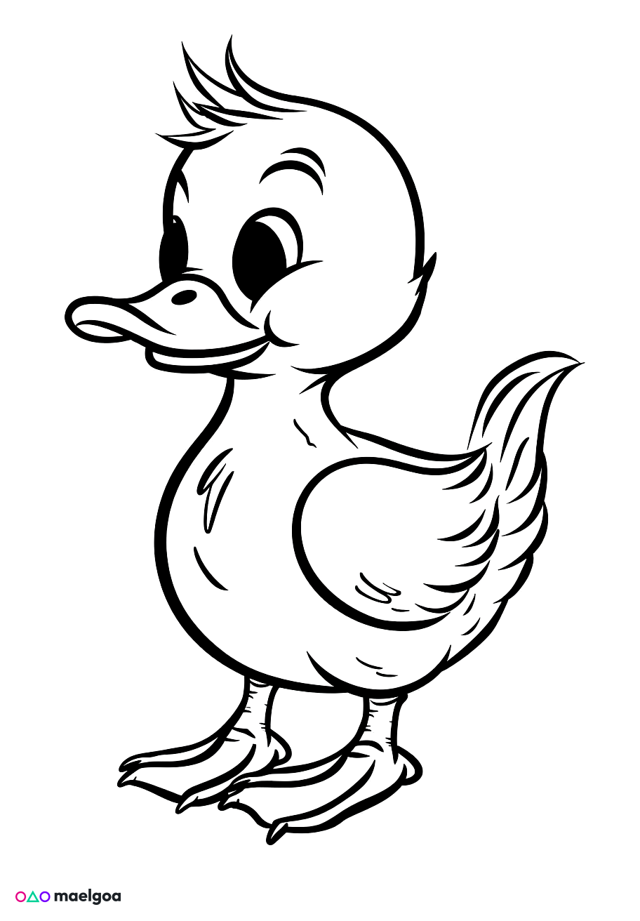 Image gratuite Coloriage canard 2