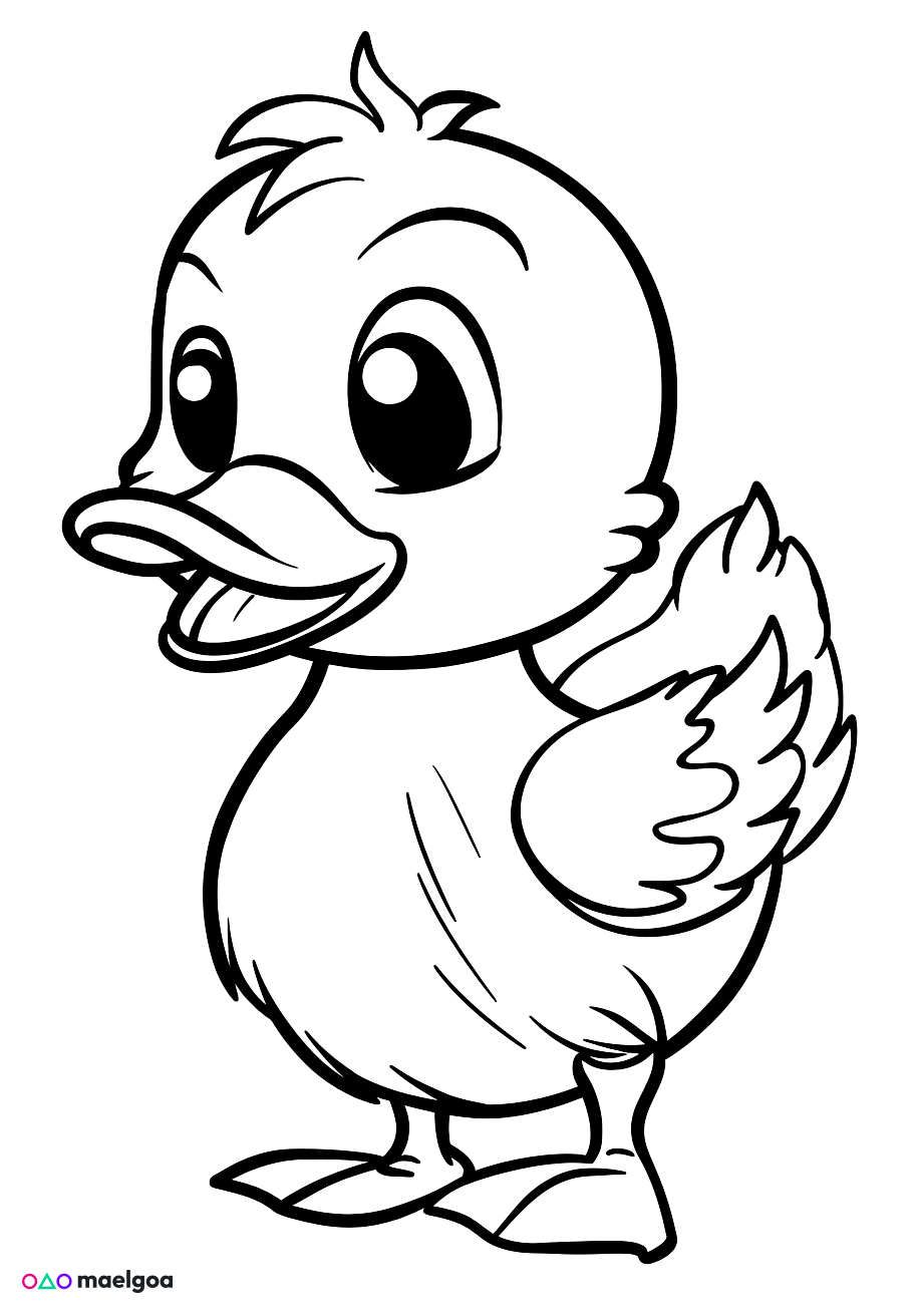 Image gratuite Coloriage canard 3