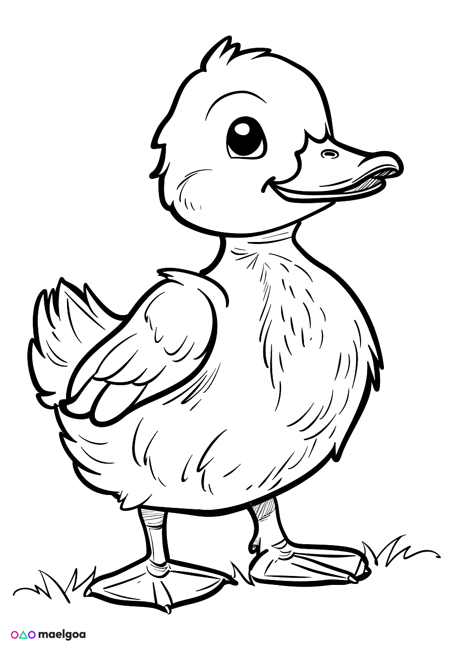Image gratuite Coloriage canard 4