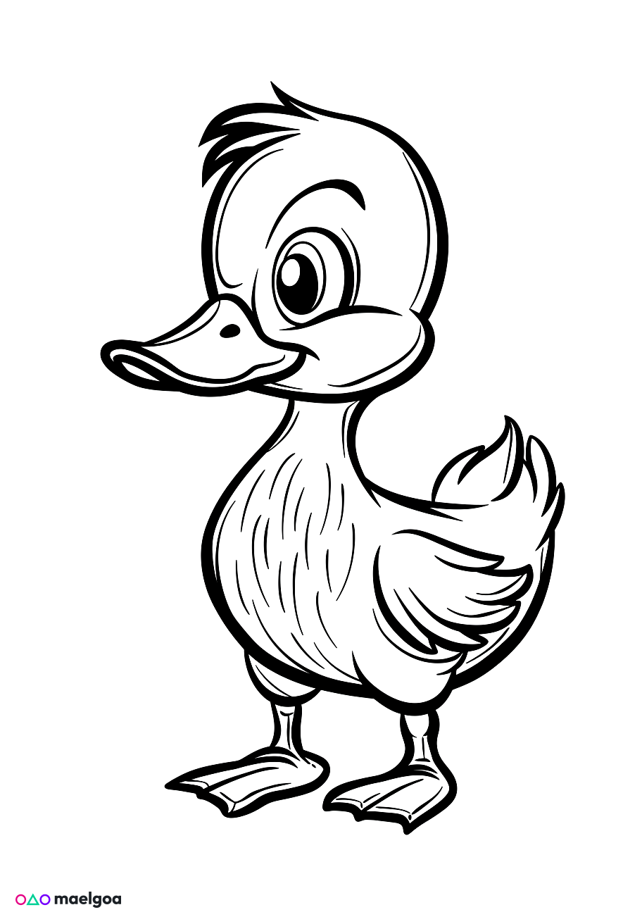 Image gratuite Coloriage canard 5
