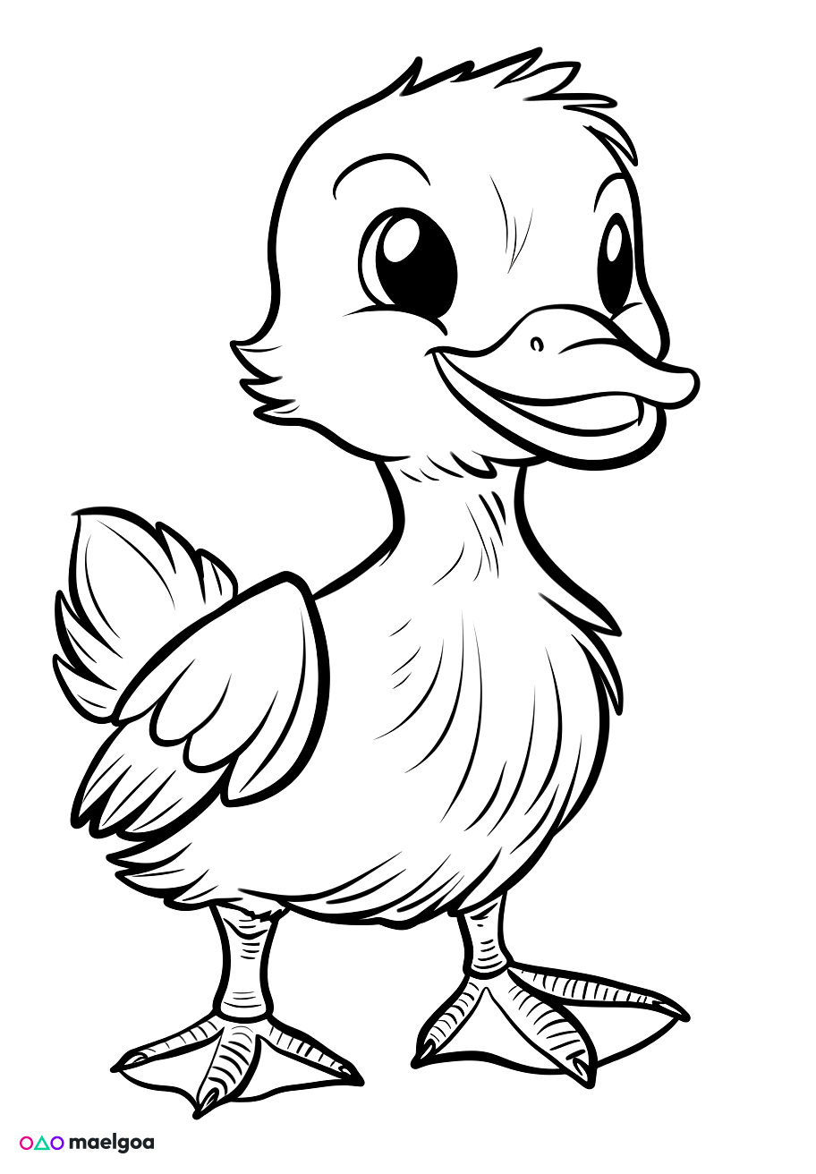 Image gratuite Coloriage canard 6