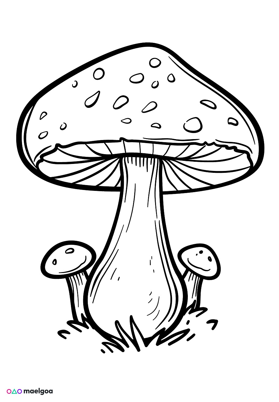 Image gratuite Coloriage champignon 4