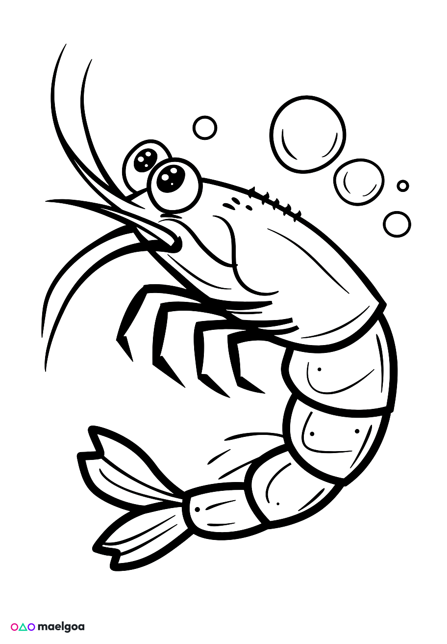 Image gratuite Coloriage crevette 1