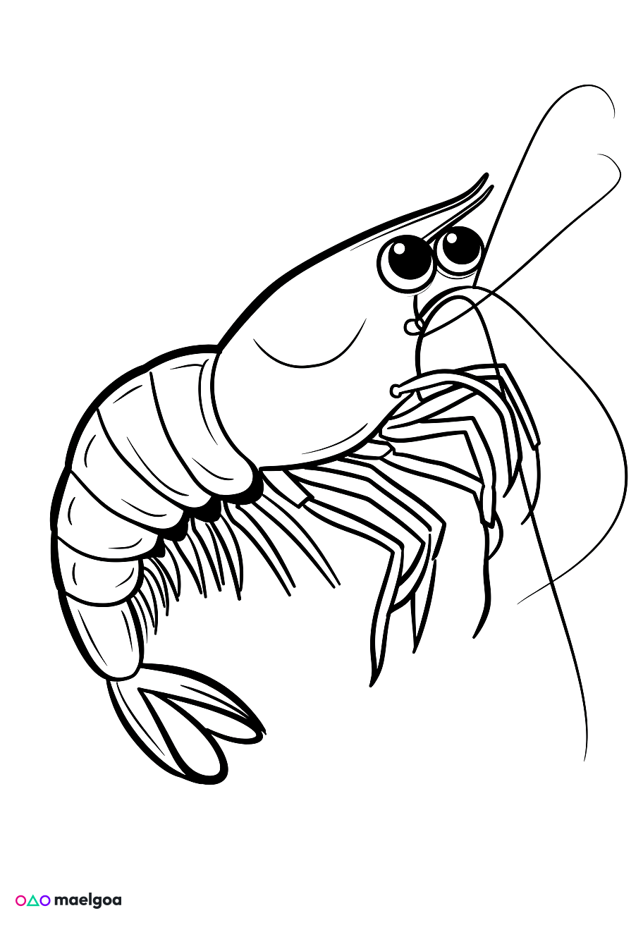 Image gratuite Coloriage crevette 2