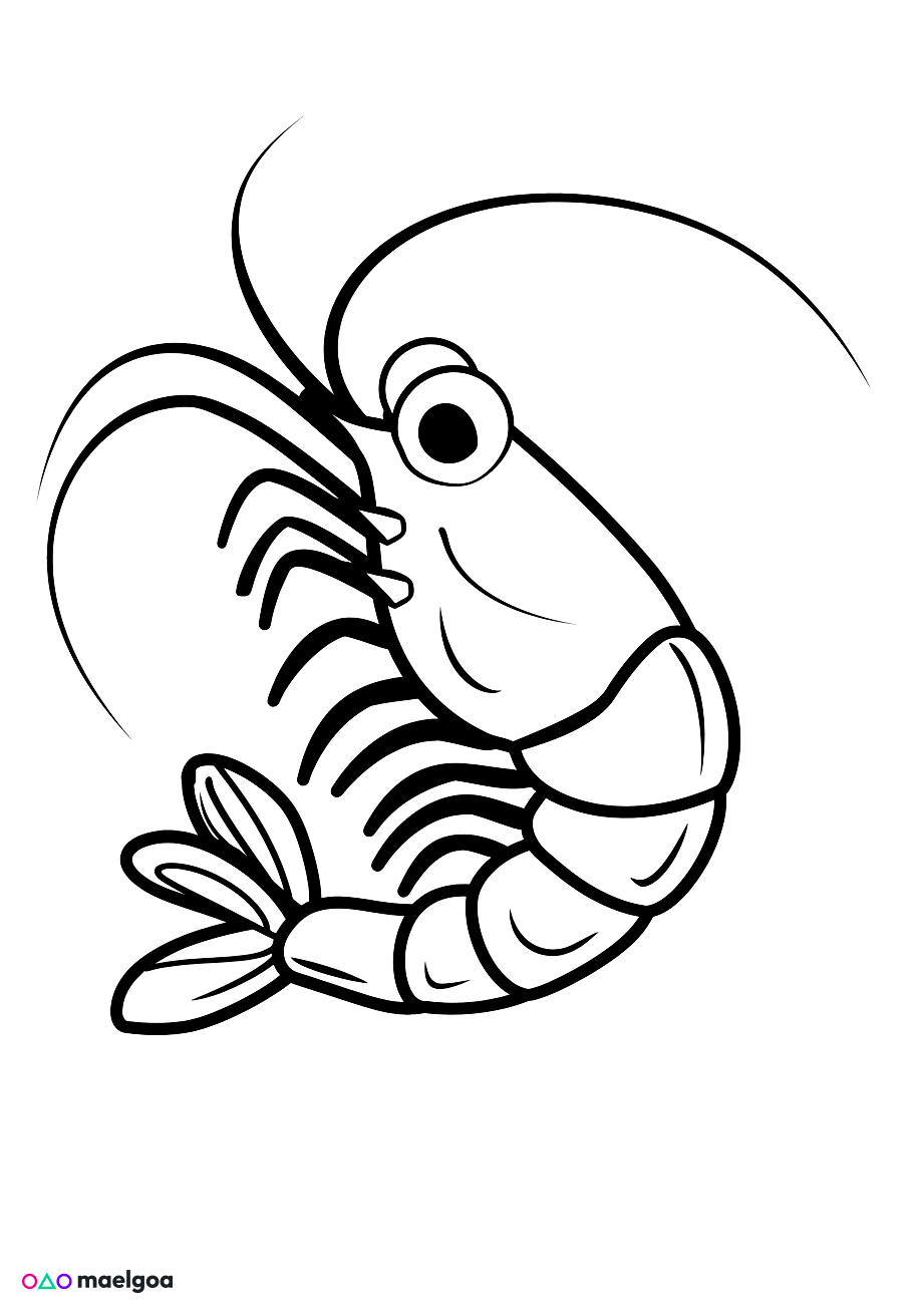 Image gratuite Coloriage crevette 3