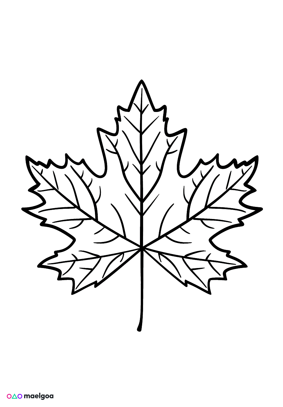 Image gratuite Coloriage feuille d&rsquo;érable 1