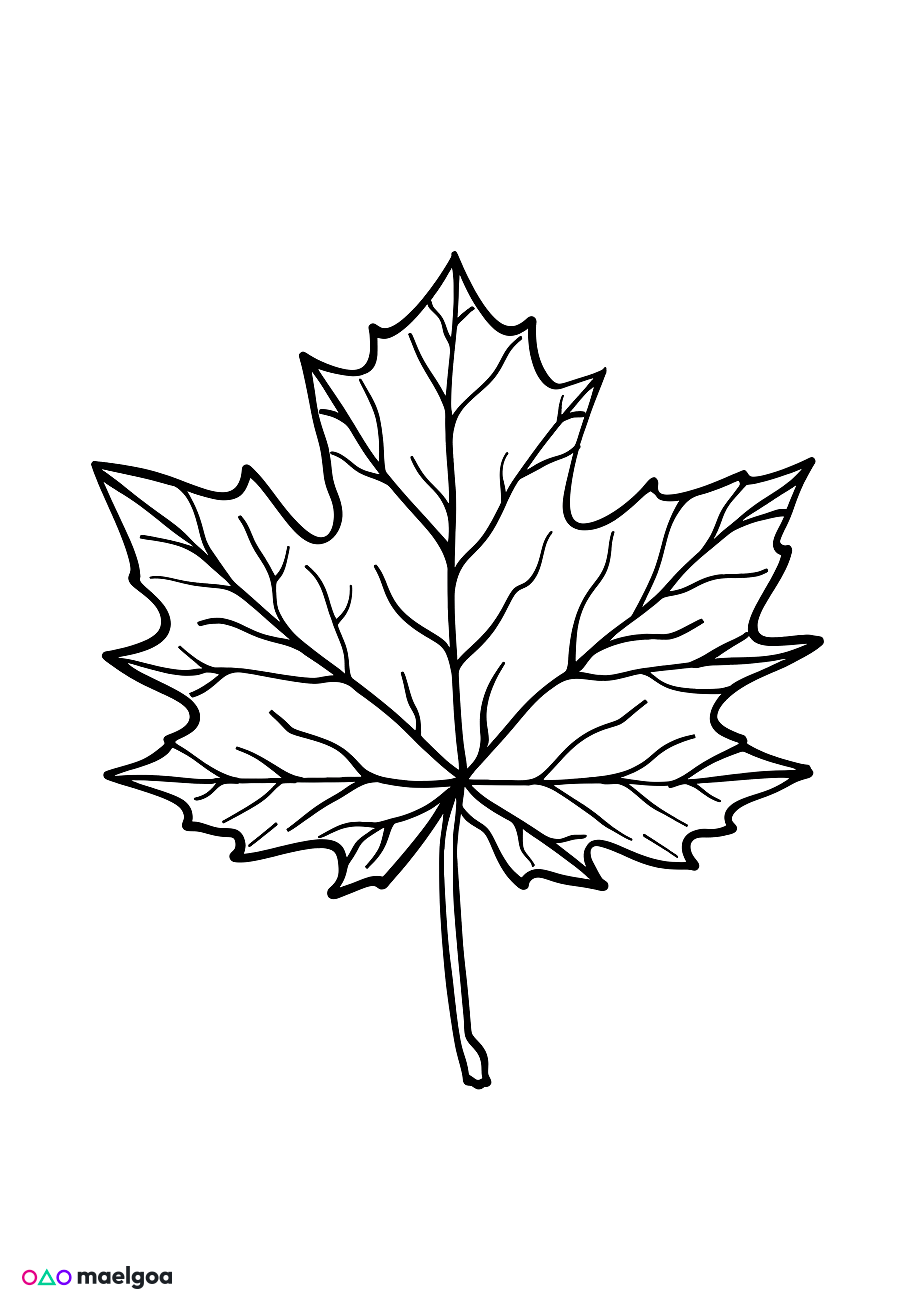 Image gratuite Coloriage feuille d&rsquo;érable 2