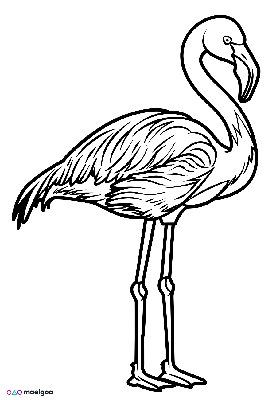 Image gratuite Coloriage flamant rose 2