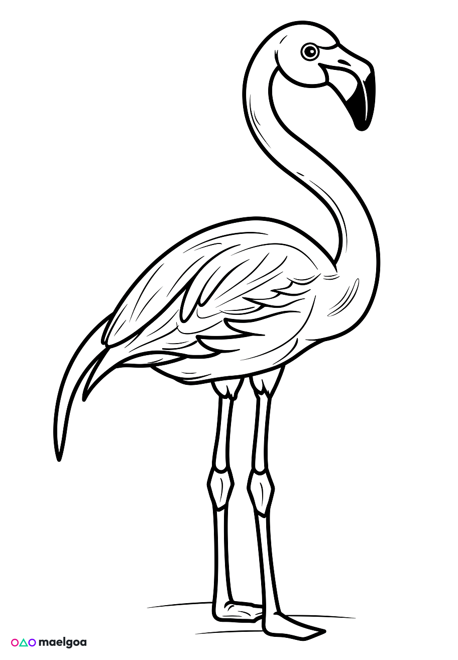 Image gratuite Coloriage flamant rose 3