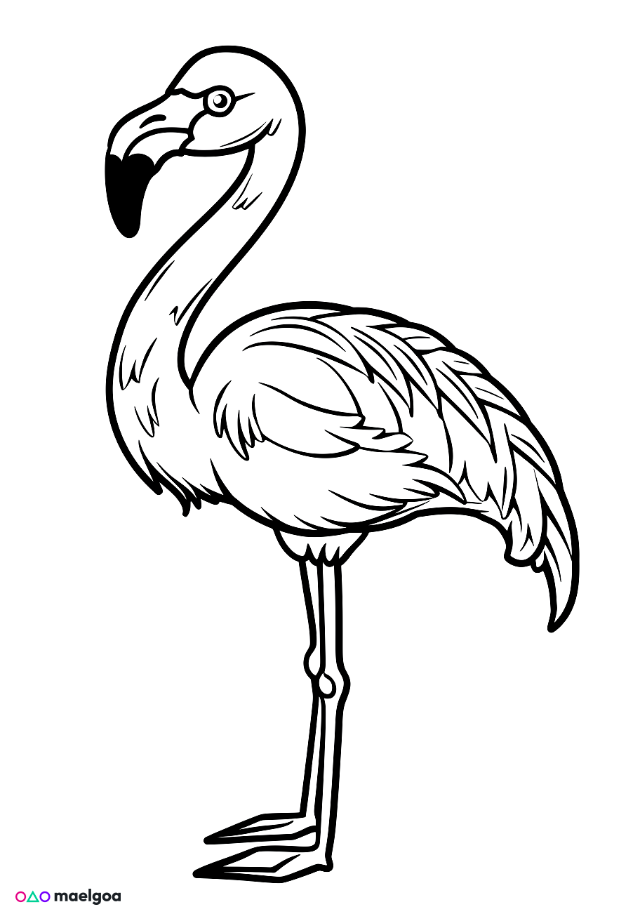 Image gratuite Coloriage flamant rose 4