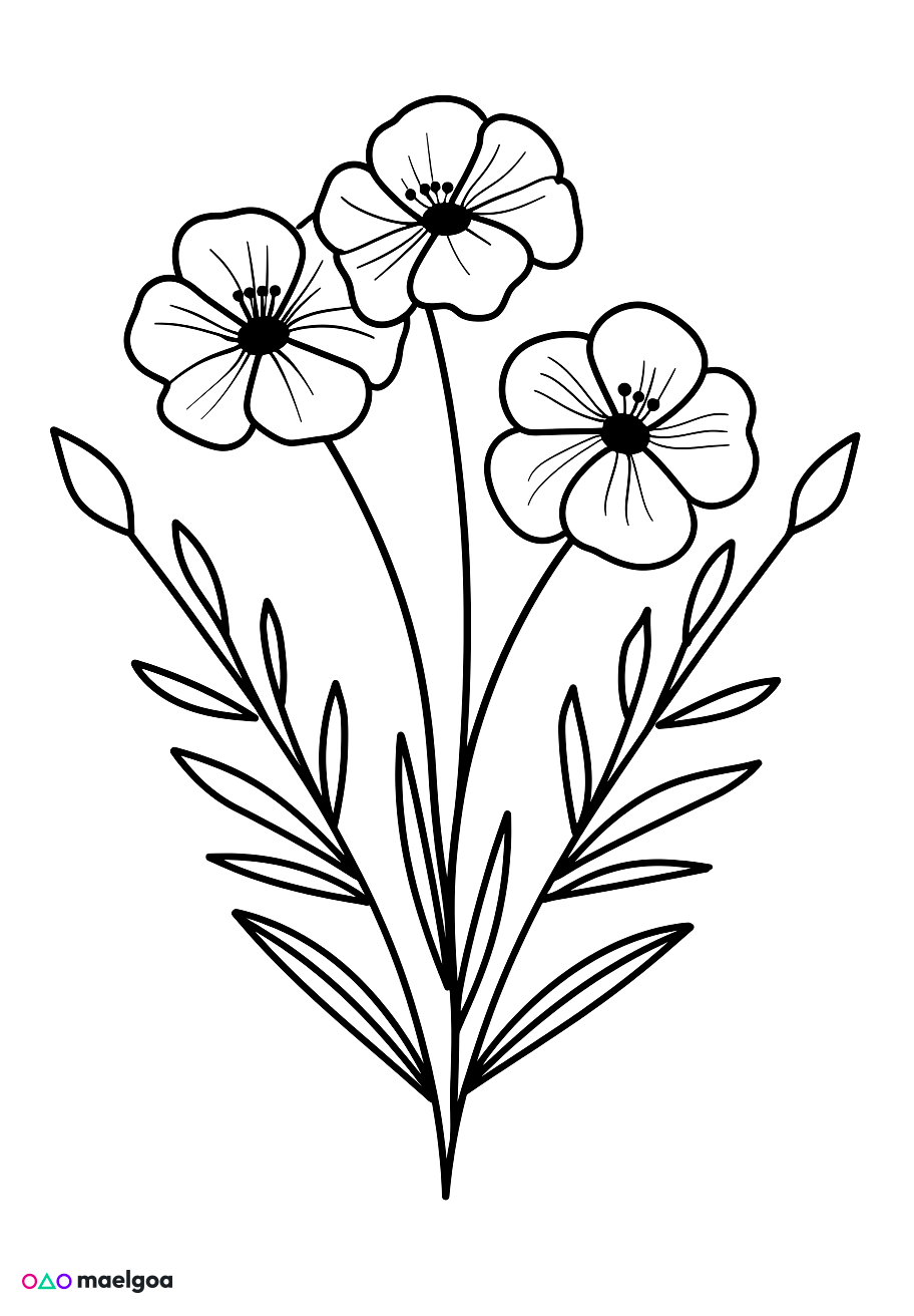 Image gratuite Coloriage fleurs 2