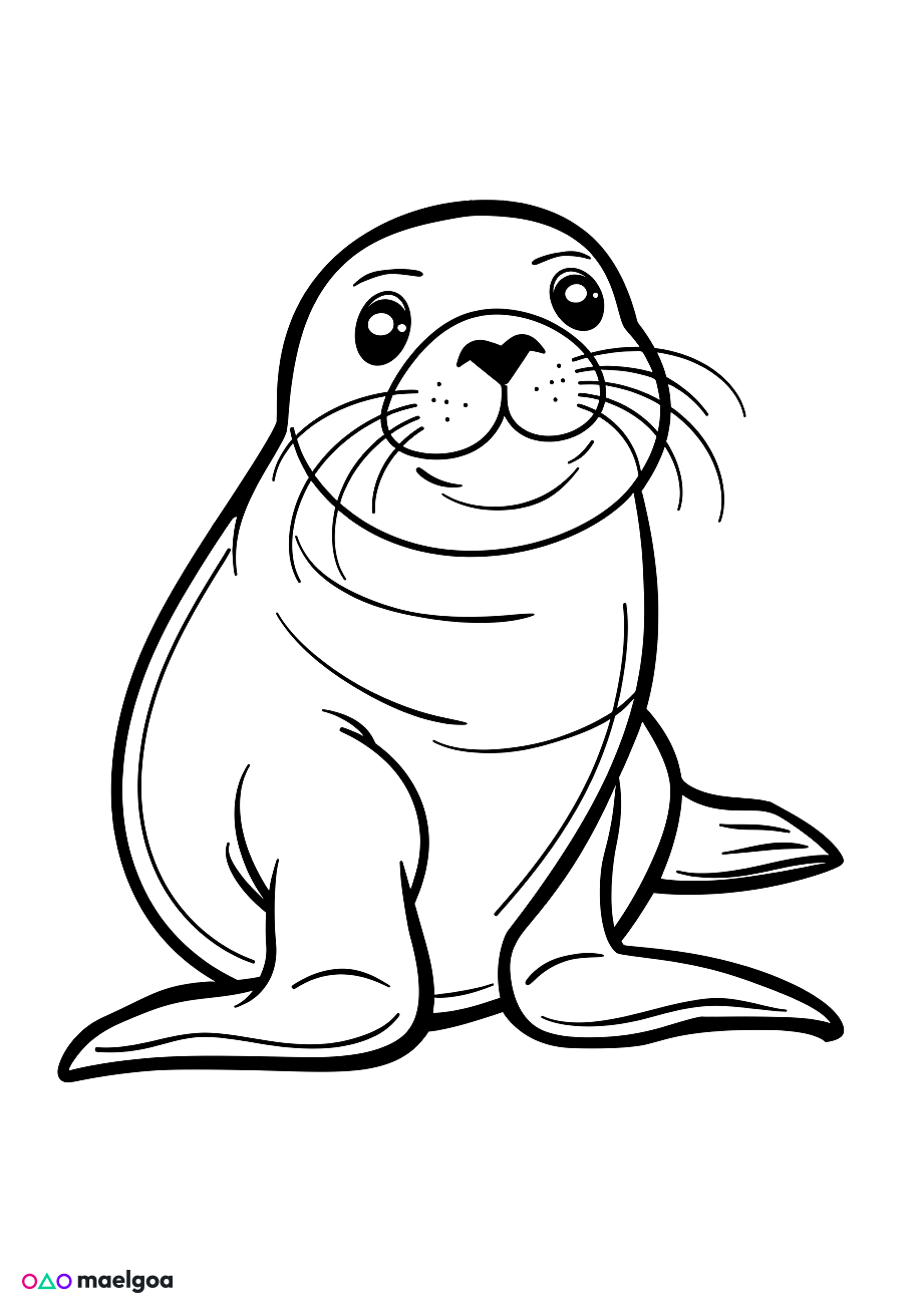 Image gratuite Coloriage lion de mer 1