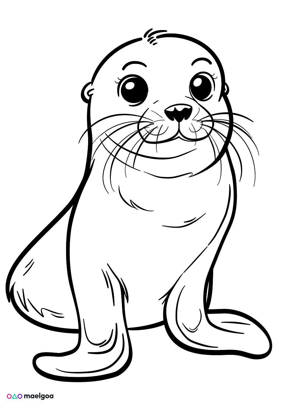 Image gratuite Coloriage lion de mer 2