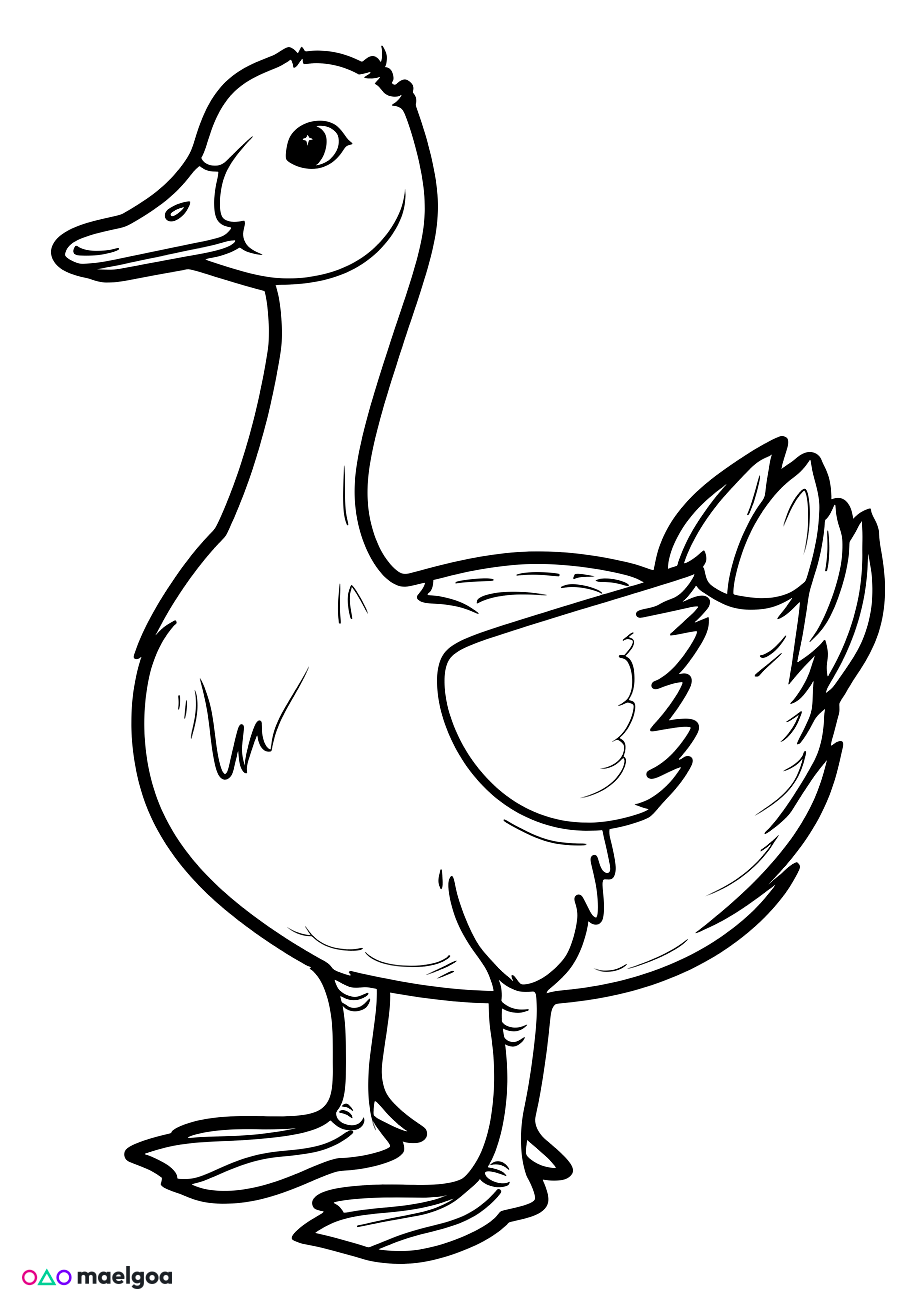 Image gratuite Coloriage oie 1
