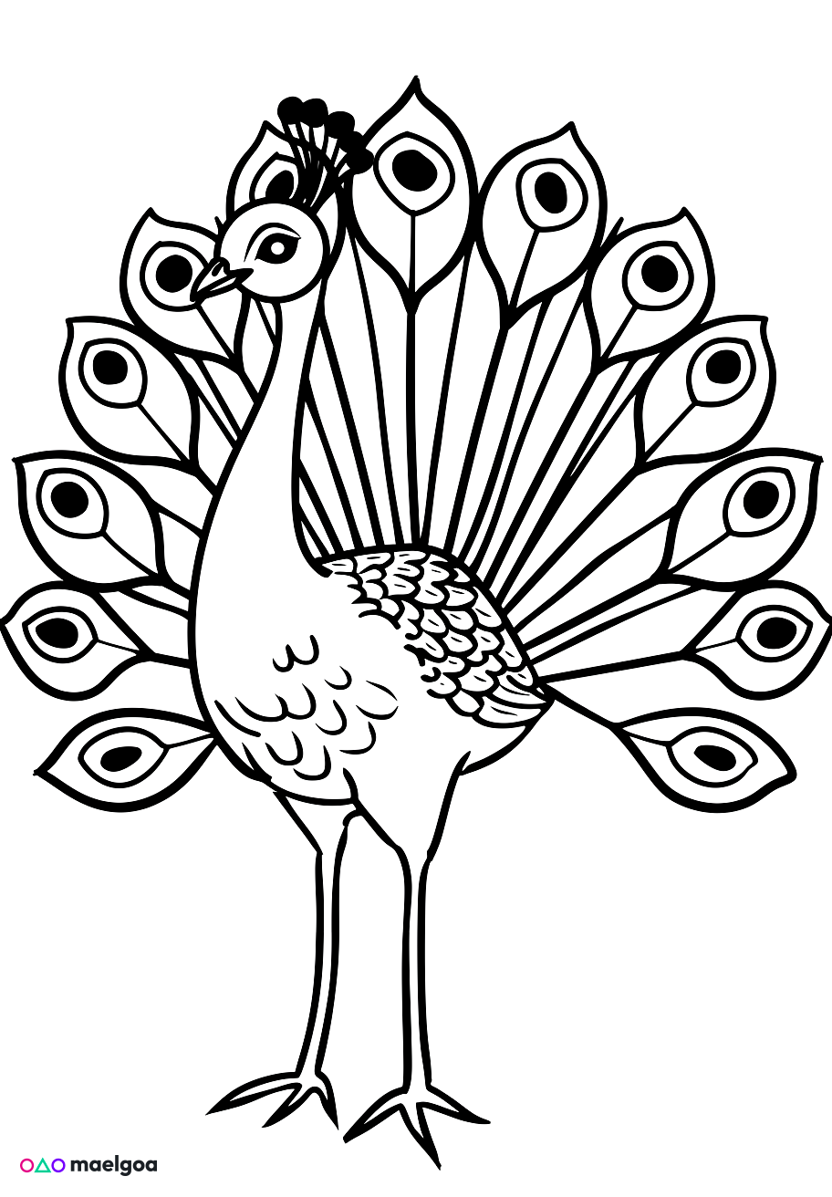 Image gratuite Coloriage paon 4