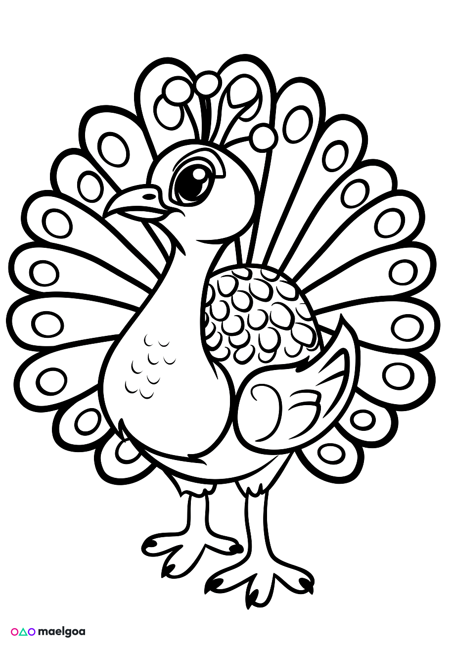 Image gratuite Coloriage paon 6