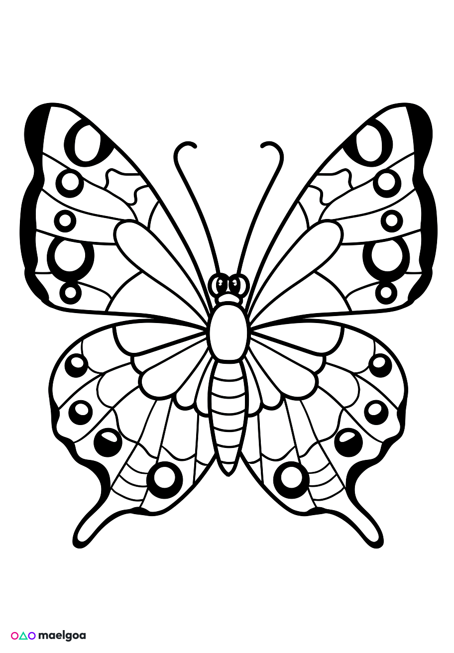 Image gratuite Coloriage papillon 4