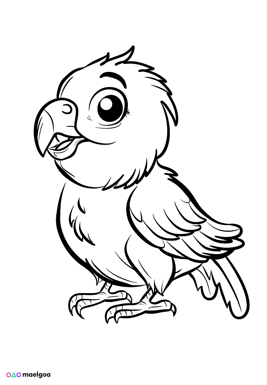 Image gratuite Coloriage perroquet mignon 2