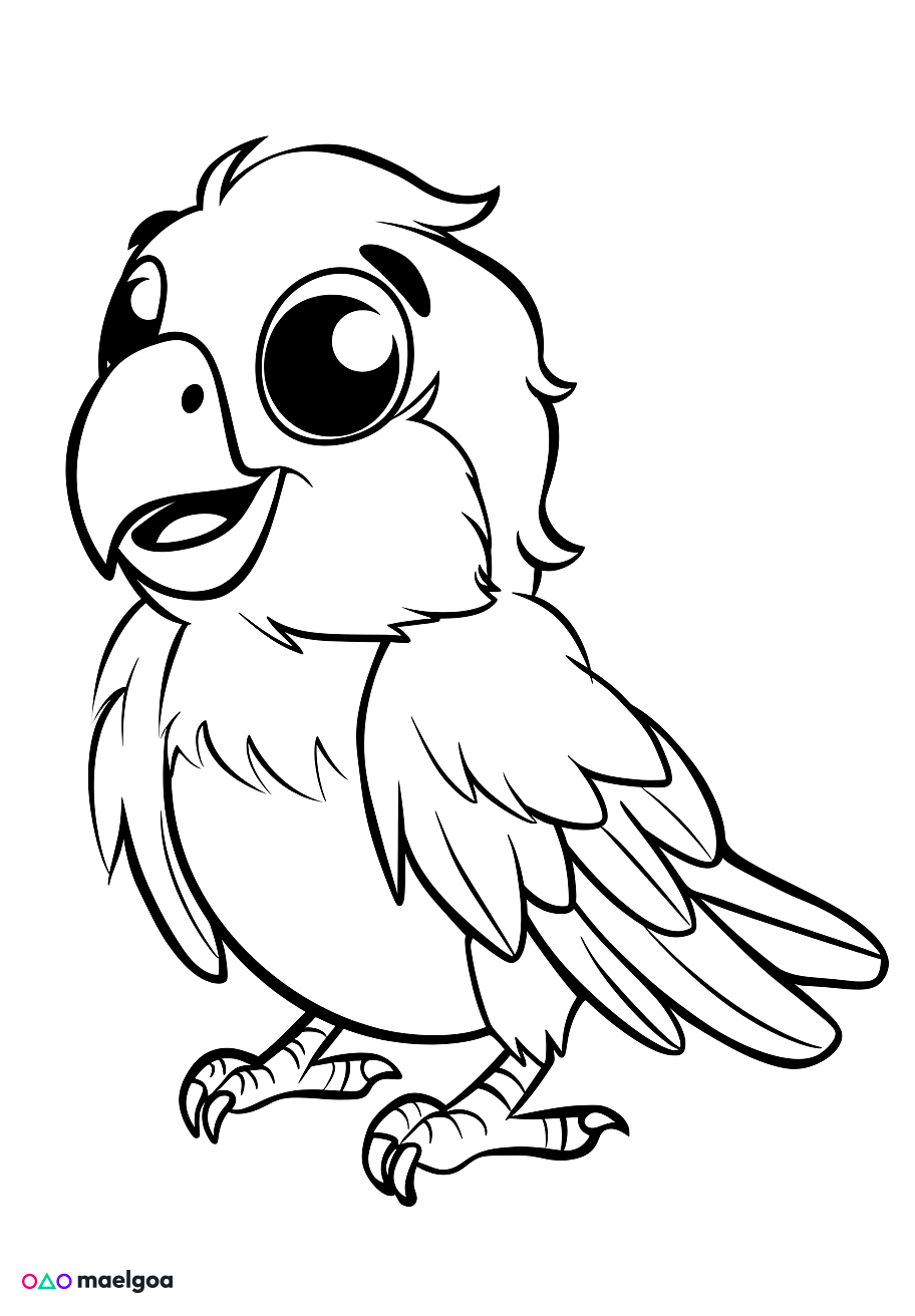 Image gratuite Coloriage perroquet mignon 3