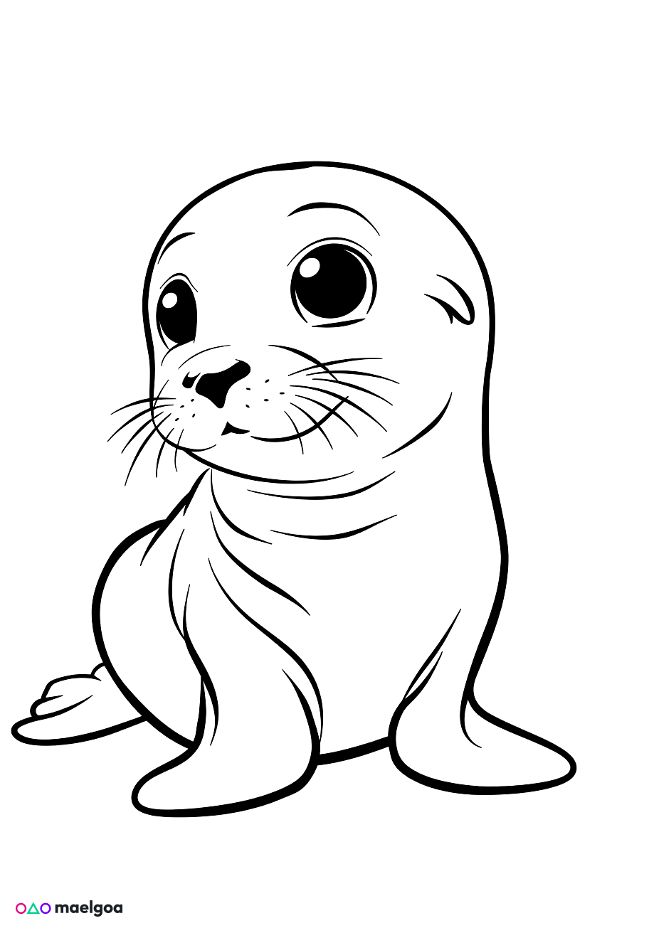 Image gratuite Coloriage phoque 4