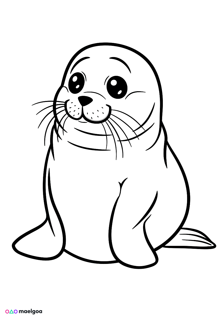 Image gratuite Coloriage phoque 6