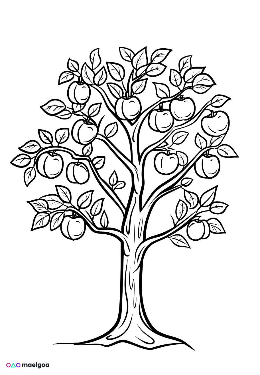 Image gratuite Coloriage pommier 3