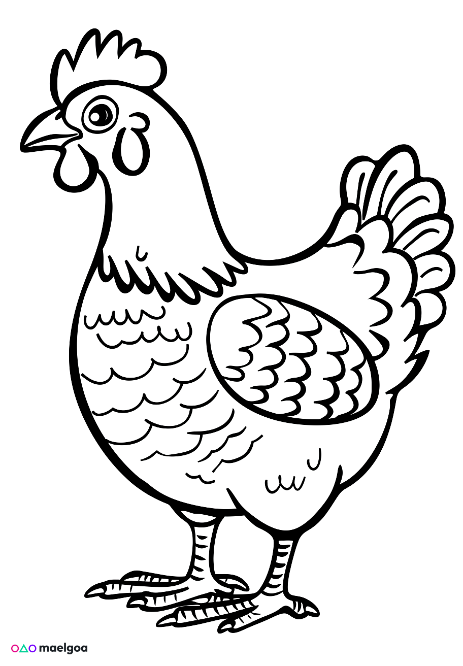 Image gratuite Coloriage poule 1