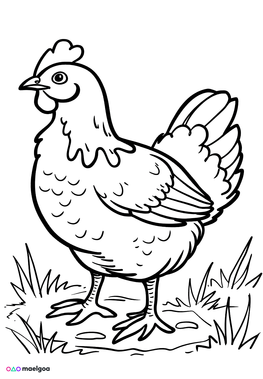 Image gratuite Coloriage poule 3