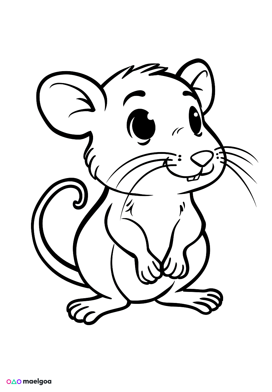 Image gratuite Coloriage rat 3