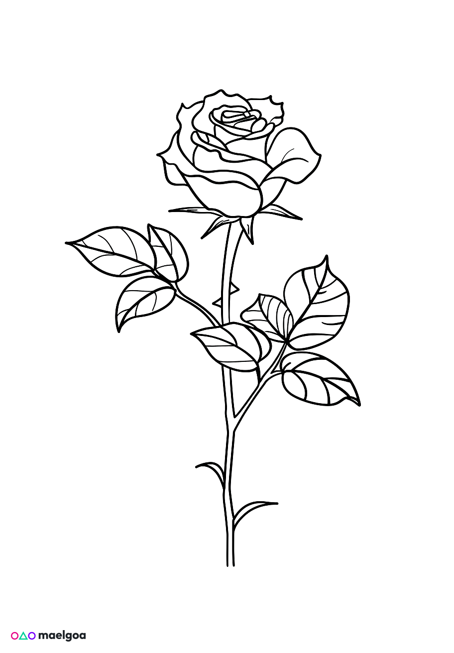 Image gratuite Coloriage rose 1