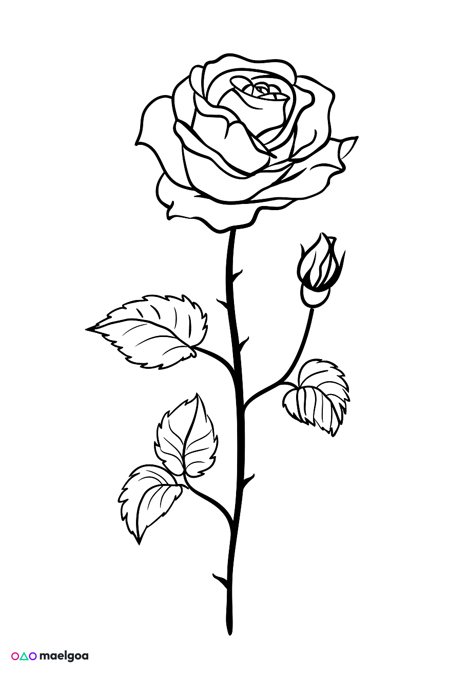 Image gratuite Coloriage rose 2