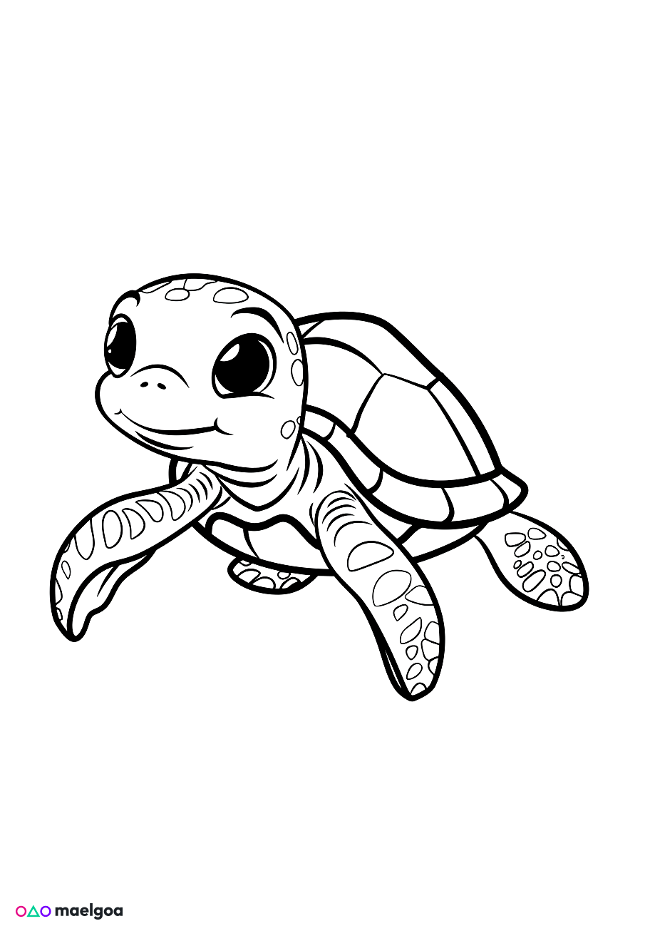 Image gratuite Coloriage tortue 1