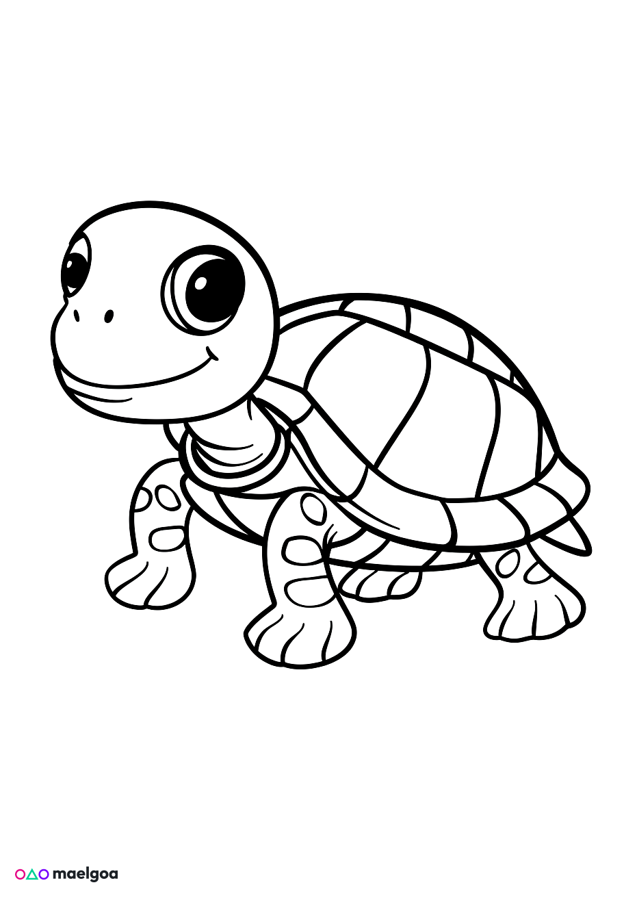 Image gratuite Coloriage tortue 2