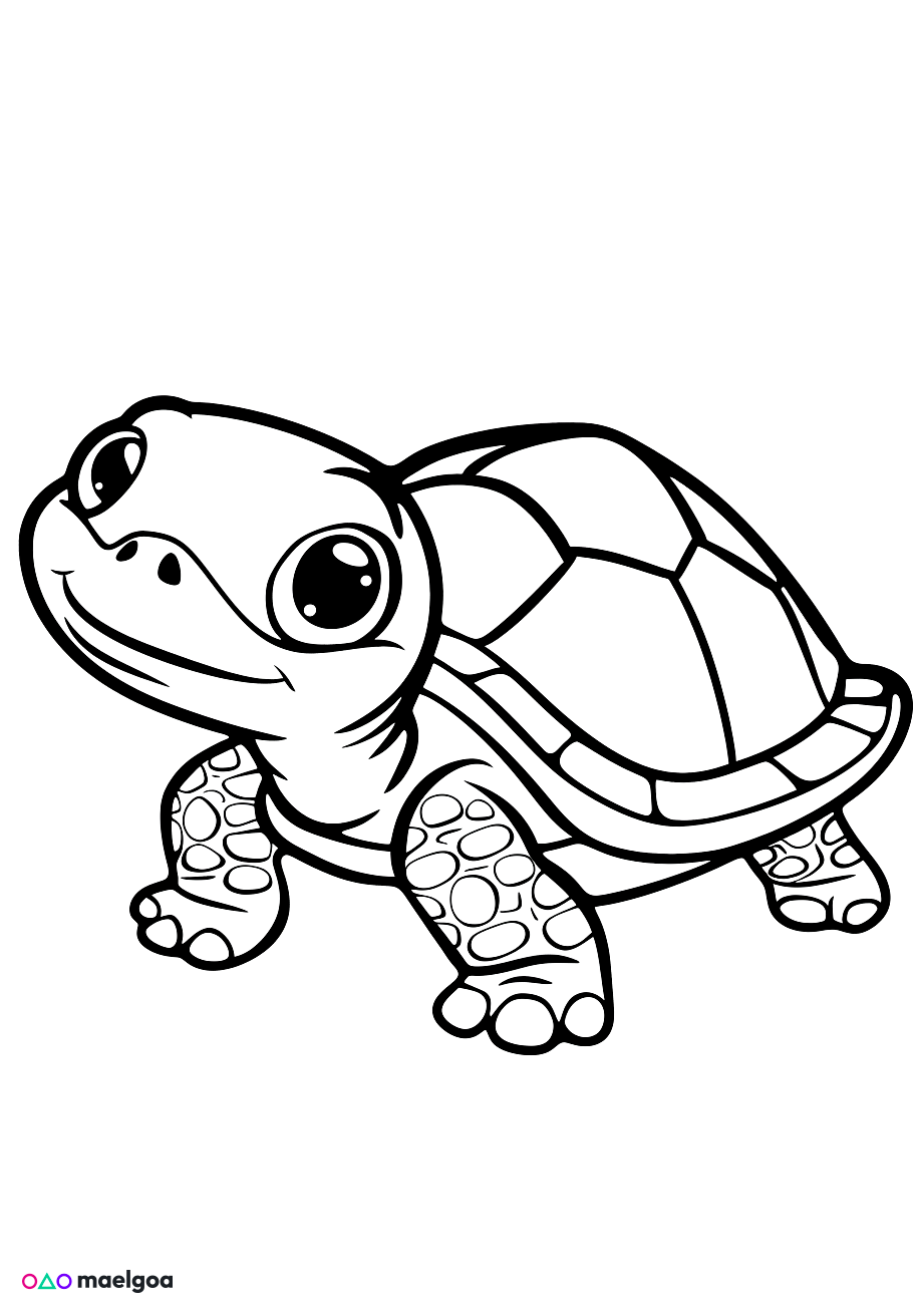 Image gratuite Coloriage tortue 4