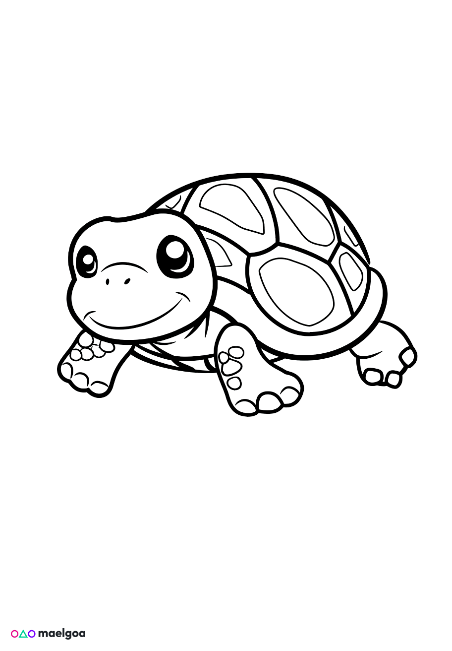 Image gratuite Coloriage tortue 6