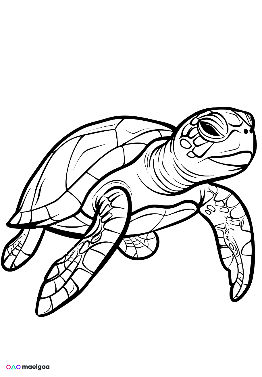 Image gratuite Coloriage tortue de mer 1