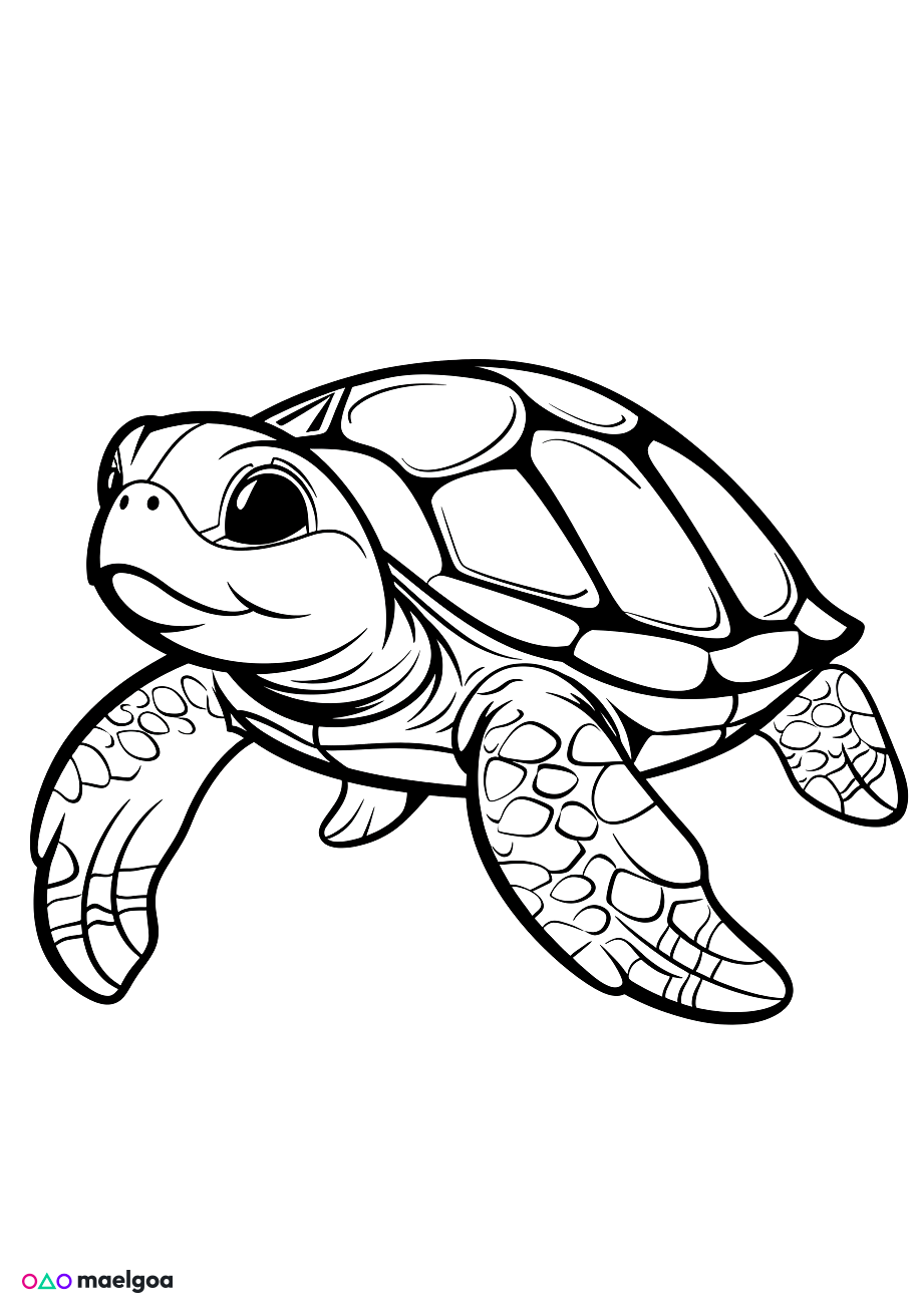 Image gratuite Coloriage tortue de mer 2
