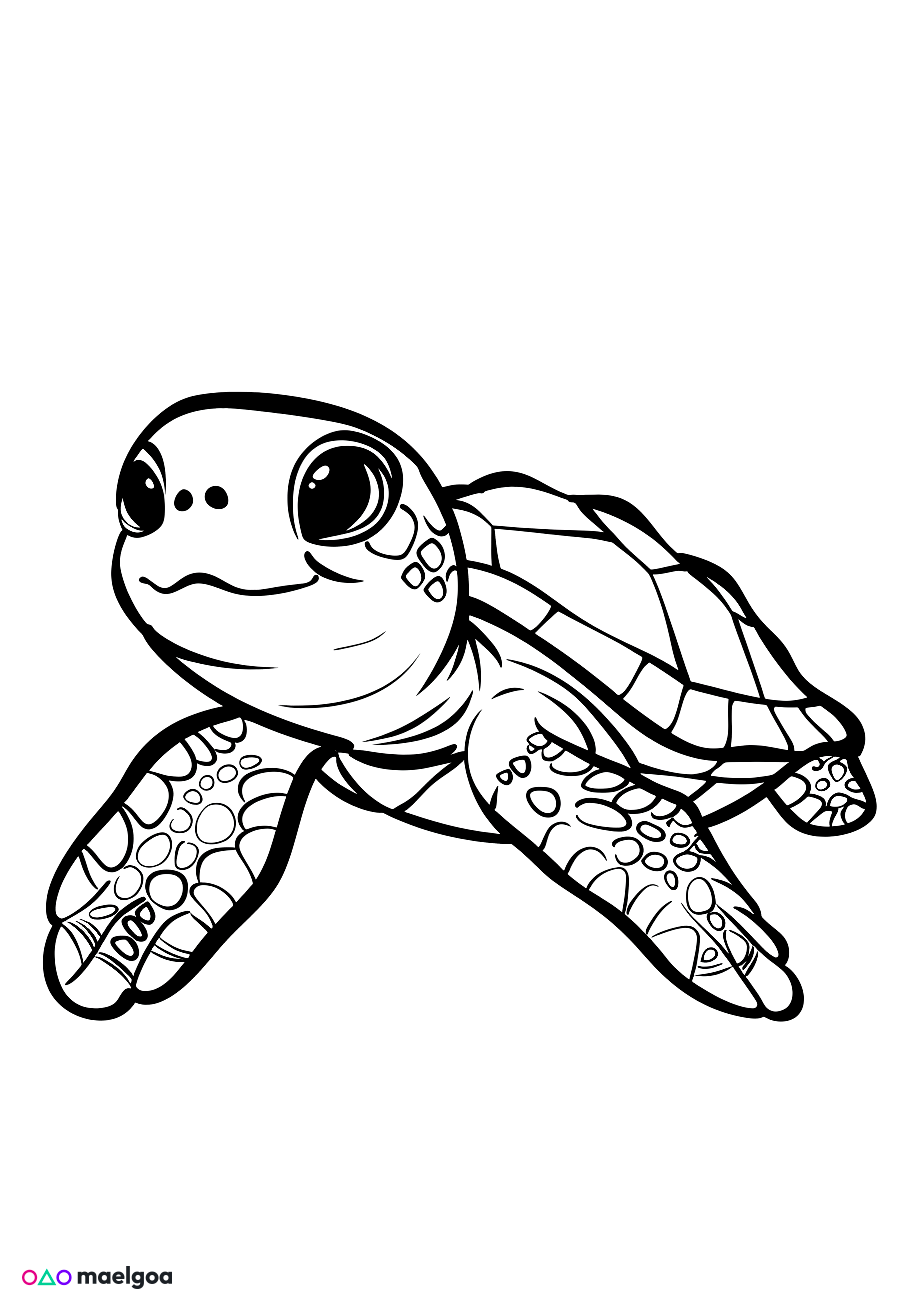Image gratuite Coloriage tortue de mer 4