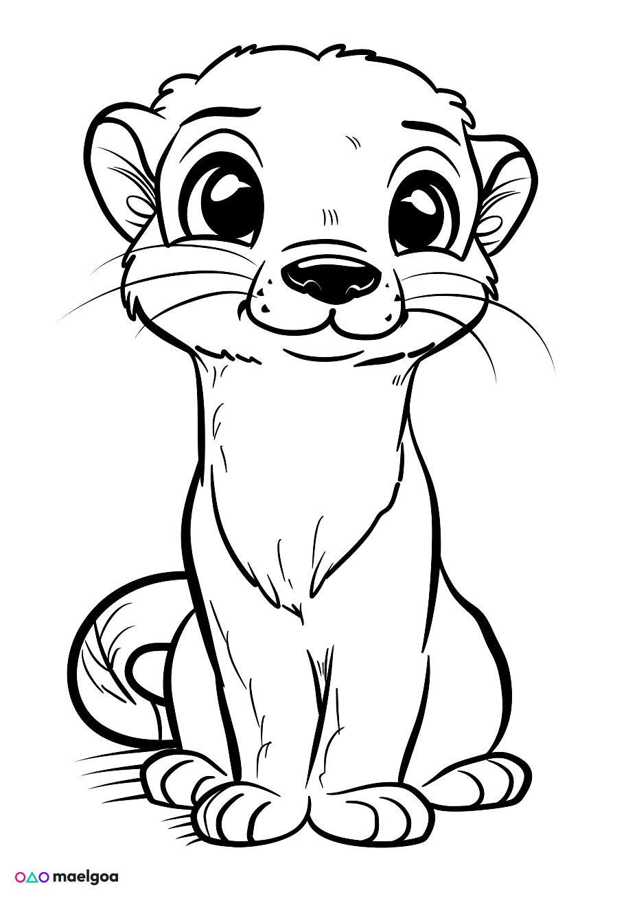 Image gratuite Coloriage visage furet souriant 1
