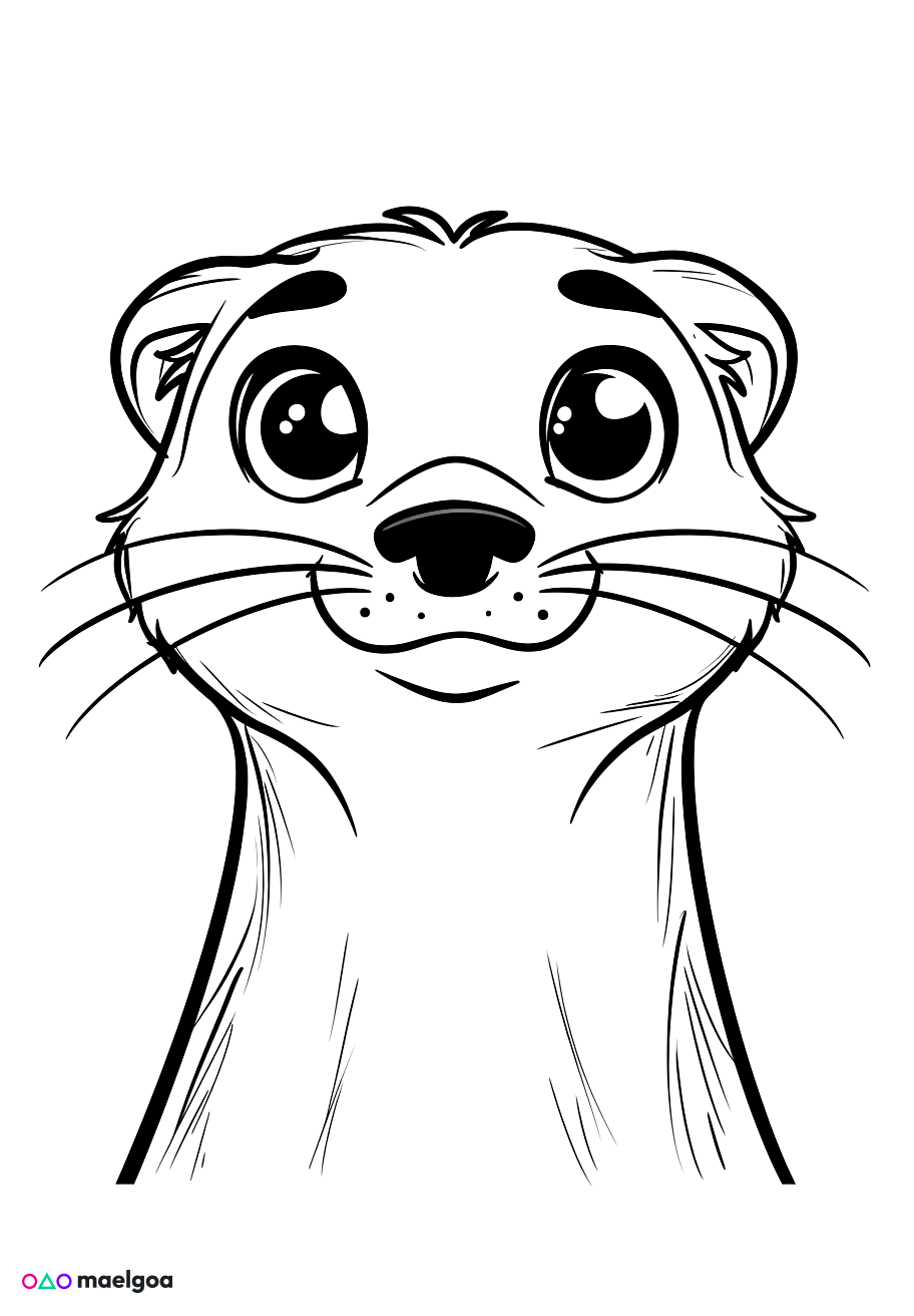Image gratuite Coloriage visage furet souriant 4
