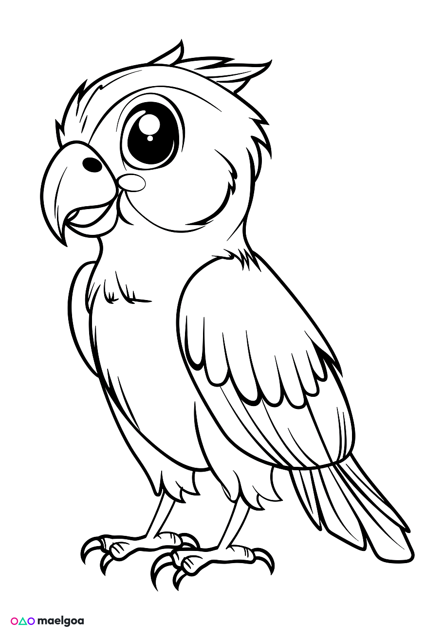 Image gratuite Coloriage visage perroquet souriant 1