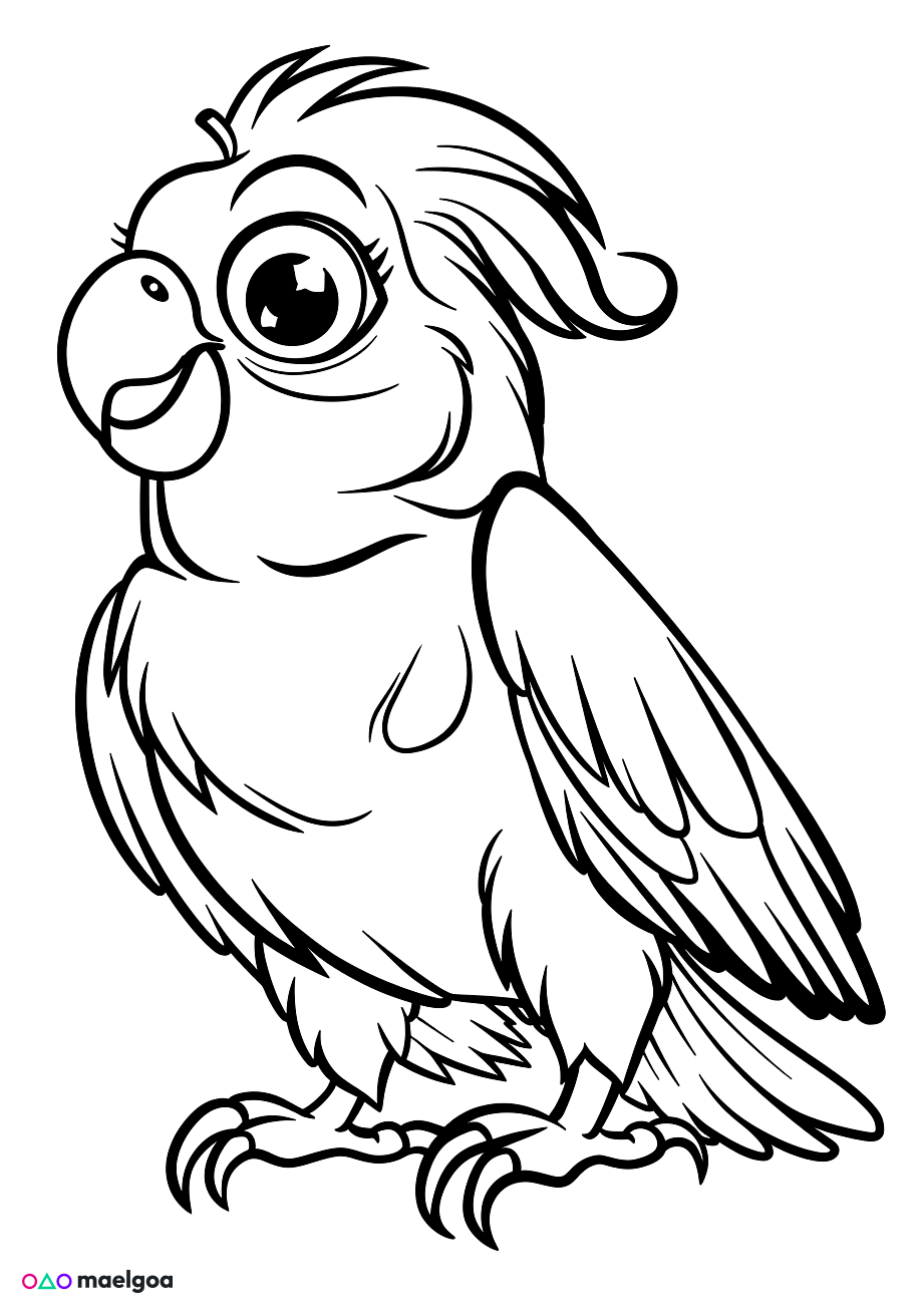 Image gratuite Coloriage visage perroquet souriant 2