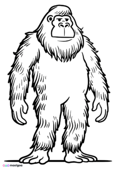 Images gratuites Ratio 9 sur 13 