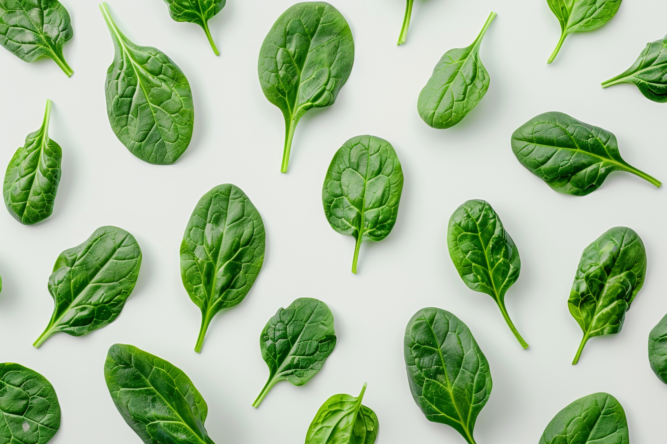 Image gratuite Épinards sur fond blanc 2
