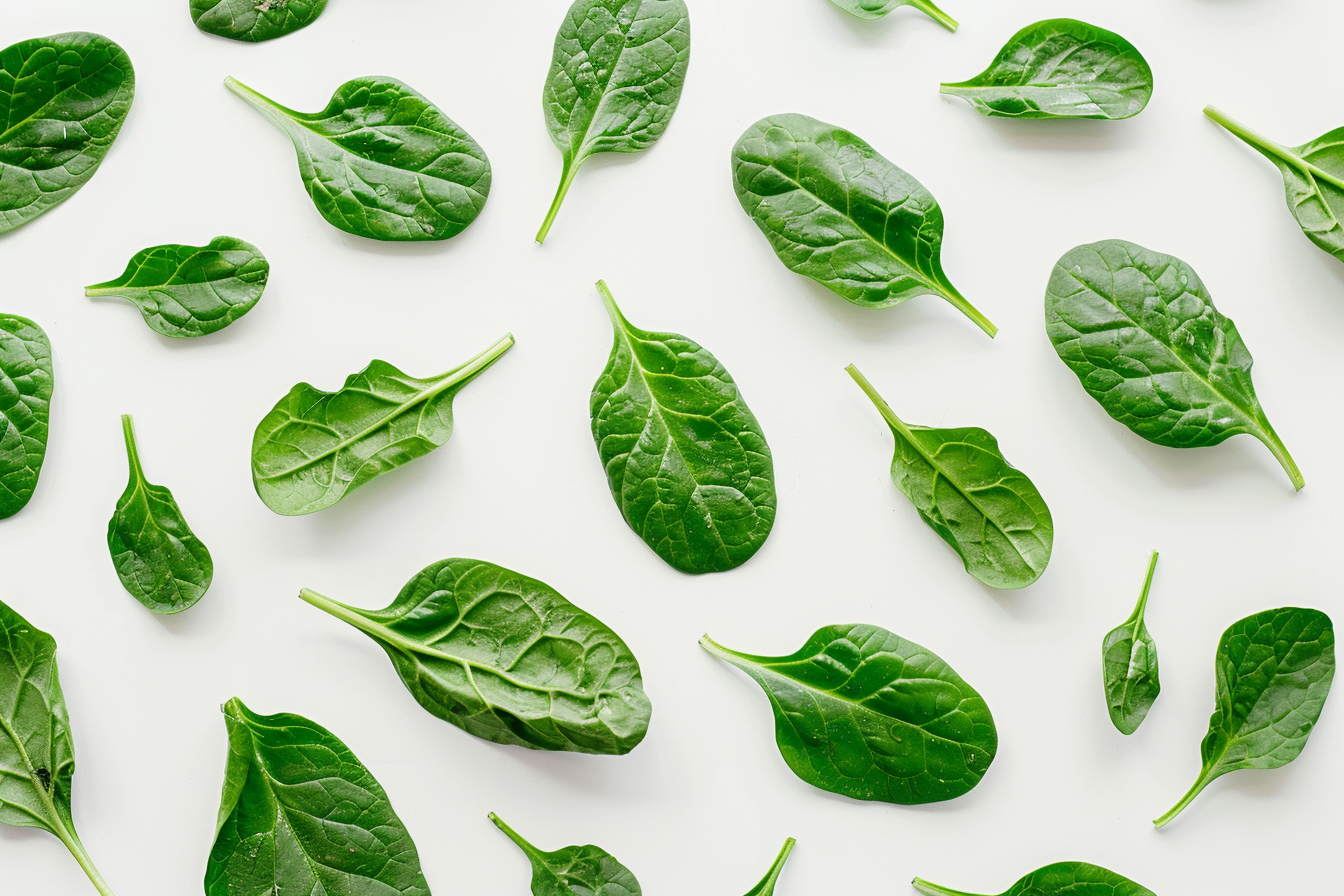 Image gratuite Épinards sur fond blanc 4