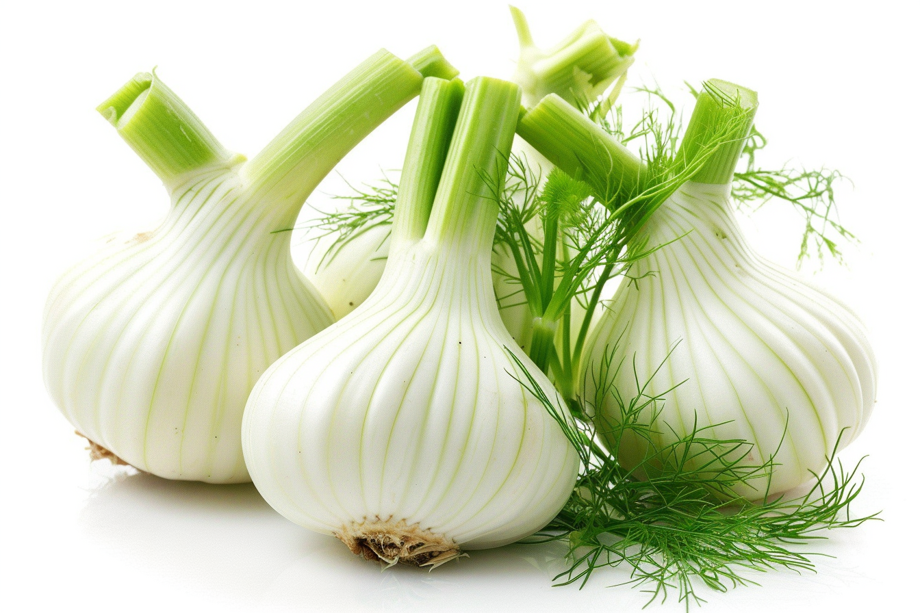 Image gratuite Fenouil sur fond blanc 2